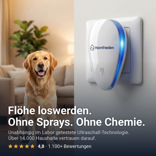 Heimfrieden Ultraschall-Schädlingsvertreiber in der Steckdose, daneben ein Golden Retriever – Flöhe loswerden ohne Sprays, ohne Chemie