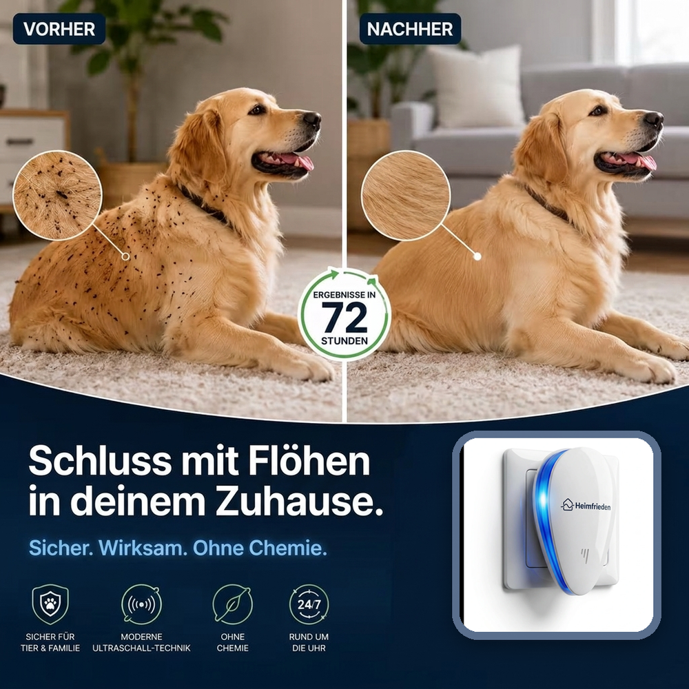 Vorher und nachher: Hund mit Flöhen im Fell und Hund mit sauberem Fell – Schluss mit Flöhen in deinem Zuhause